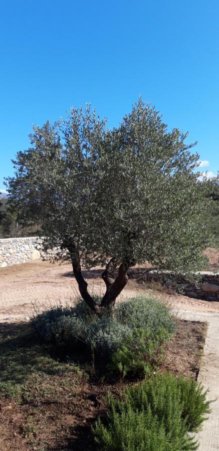 Domaine Rondini Hotell Moltifao Eksteriør bilde